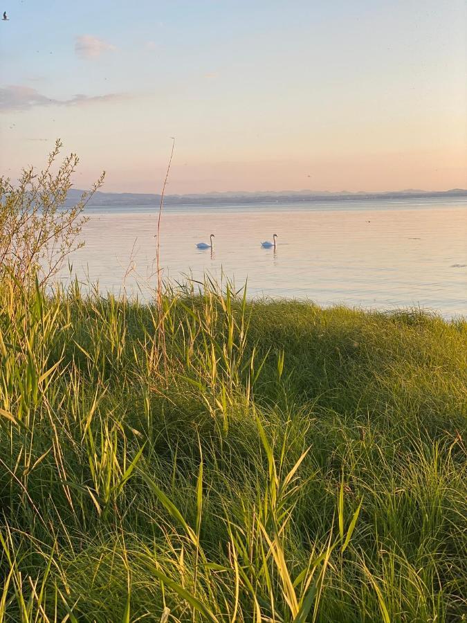 Wohlfuehl-Apartment Sandmuschel Im Naturschutzgebiet Mit Privatstrand FDH Eksteriør billede