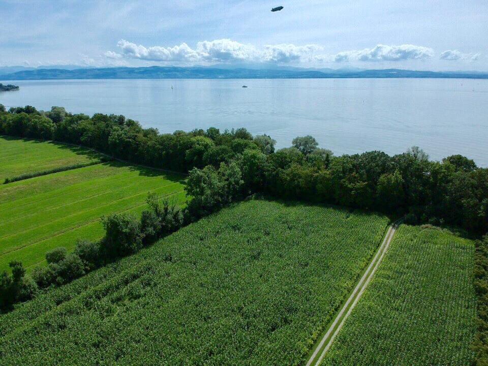 Wohlfuehl-Apartment Sandmuschel Im Naturschutzgebiet Mit Privatstrand FDH Eksteriør billede
